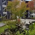 Departamento Pucon, Para 5 Personas